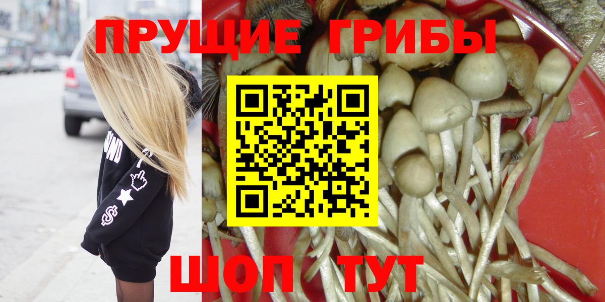 Лесосибирск  Псилоцибиновые грибы Magic Shrooms  Вход с VPN 